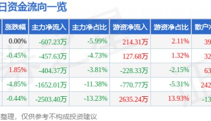 股票行情快报：辉丰股份（002496）11月27日主力资金净卖出607.23万元