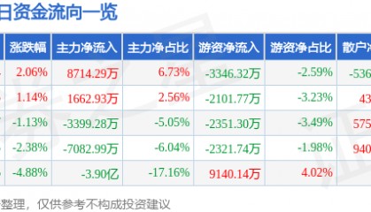 股票行情快报：岩山科技（002195）6月24日主力资金净买入8714.29万元