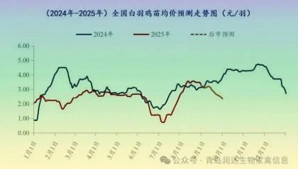 行情 | 8月肉鸡市场行情分析及9月行情预测