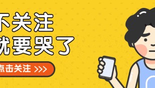 训练Transformer模型：预测股票价格（教程与代码样本）