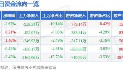 股票行情快报：浙江众成（002522）3月28日主力资金净卖出938.34万元