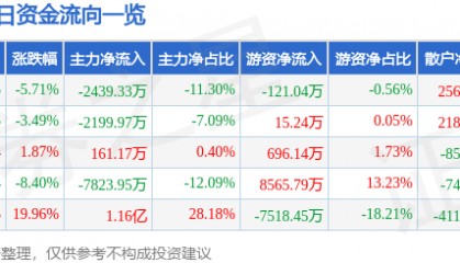 股票行情快报：华平股份（300074）2月28日主力资金净卖出2439.33万元