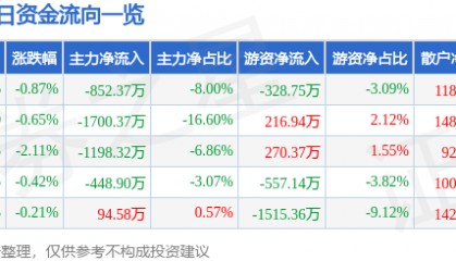股票行情快报：兄弟科技（002562）6月17日主力资金净卖出852.37万元