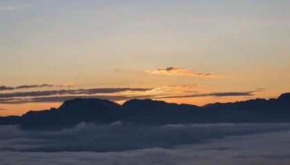 期权如何购买，需要怎么开户？