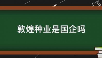 敦煌研能种业是国企吗