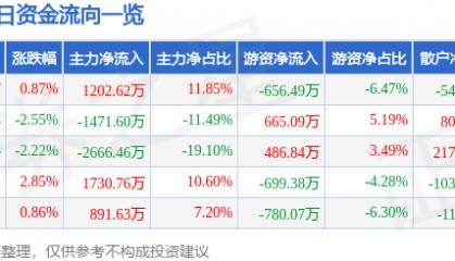 股票行情快报：拓日新能（002218）3月3日主力资金净买入1202.62万元