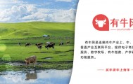 国庆节后:活牛价格行情分析