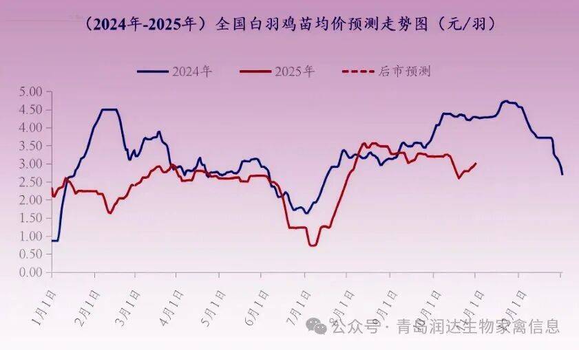 行情 | 9月肉鸡市场行情分析及10月行情预测