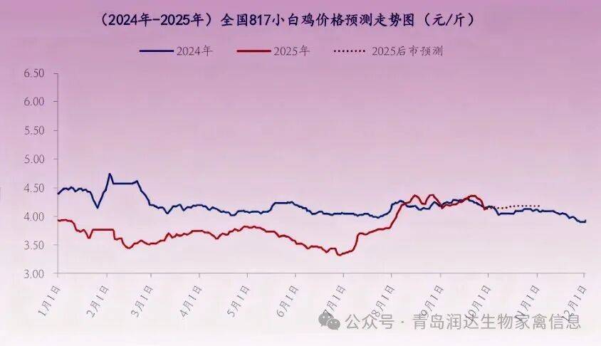 行情 | 9月肉鸡市场行情分析及10月行情预测