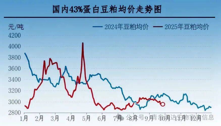 行情 | 9月肉鸡市场行情分析及10月行情预测