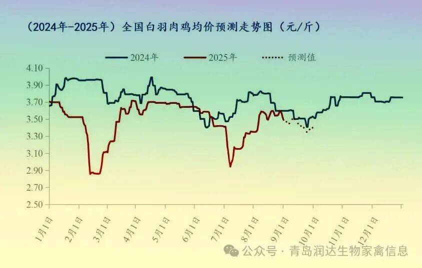 行情 | 8月肉鸡市场行情分析及9月行情预测