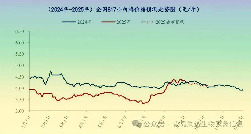 行情 | 8月肉鸡市场行情分析及9月行情预测