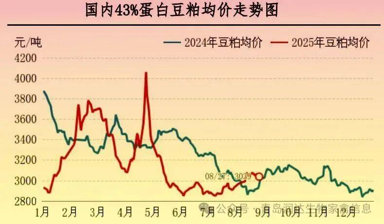 行情 | 8月肉鸡市场行情分析及9月行情预测