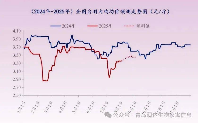 行情 | 7月肉鸡市场行情分析及8月行情预测