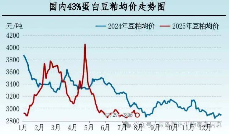 行情 | 7月肉鸡市场行情分析及8月行情预测