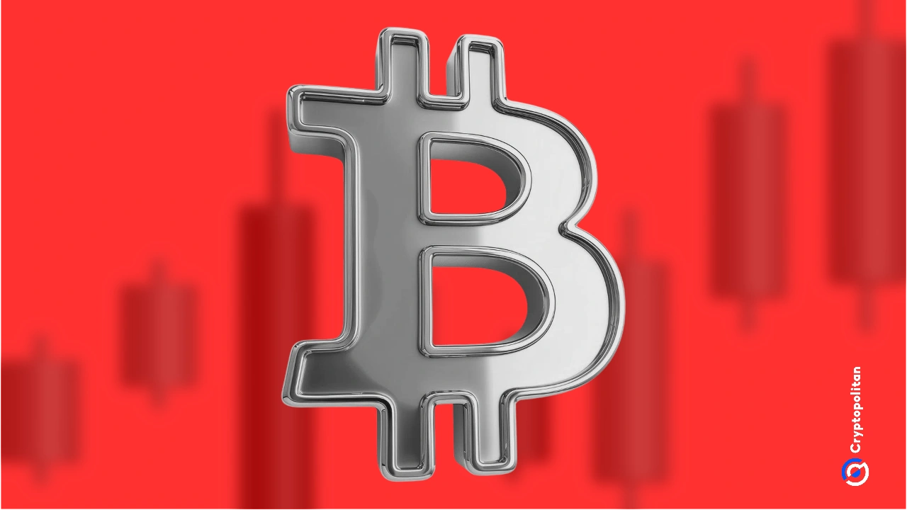 BTC-比特币(比特币btc软件)